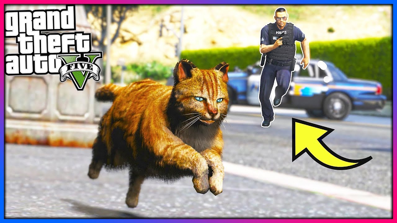 Я играл за кота... Копы меня НЕНАВИДЕЛИ!! (Модификации GTA 5)