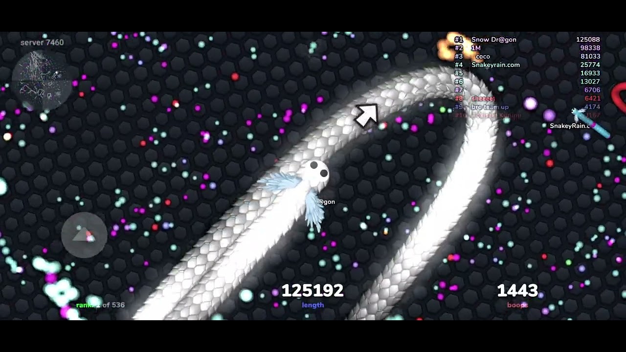 130k score in slither io! (SnakeyRain)