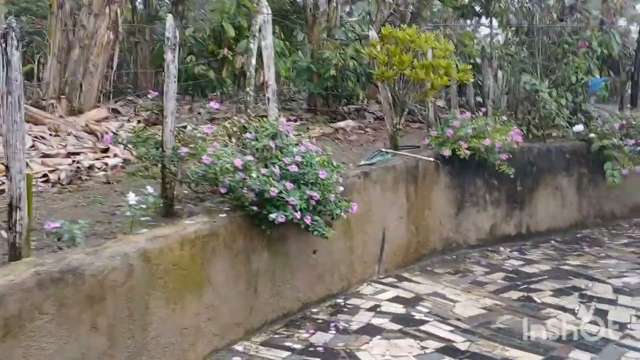 HOJE  A CHUVA  FOI  FORTE POR AQUÍ  🌧🌧🌧