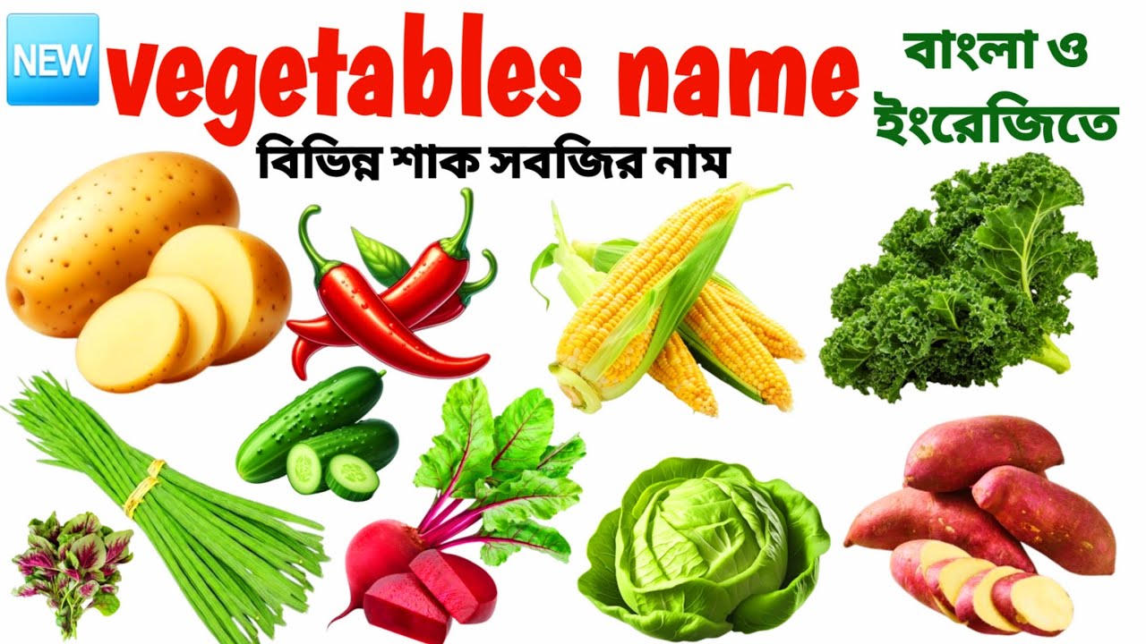 Vegetables Name | শাক সবজির নাম | 20 Vegetables Name for Kids| Learn Vegetables Names in English