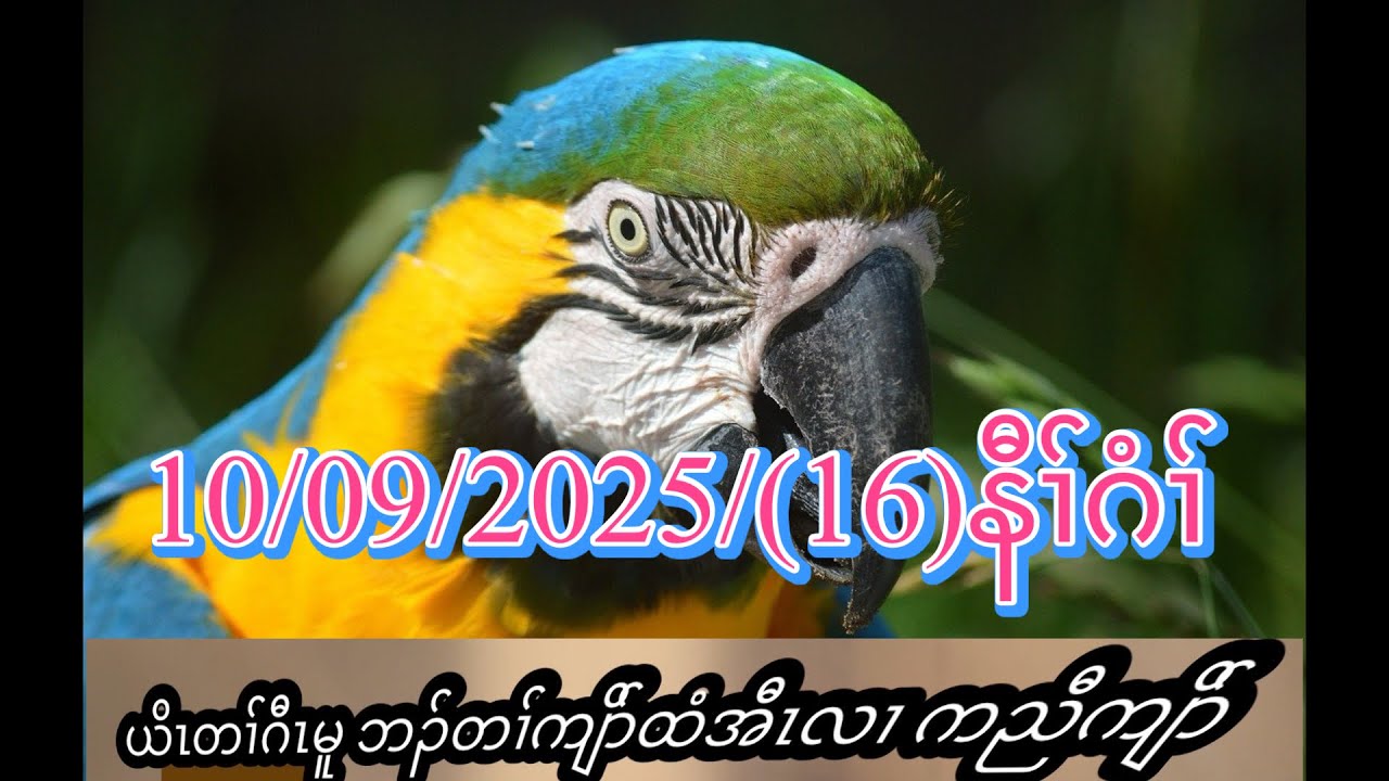 8 ноября 2025 г.