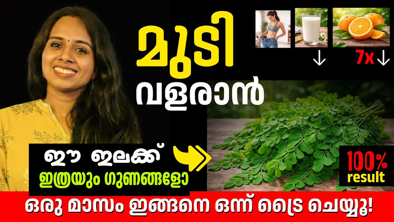 മുടി വളരാൻ ഇങ്ങനെ ഒന്ന് ട്രൈ ചെയ്യൂ | 1മാസം കൊണ്ട് റിസൾട്ട്| HAIR GROWTH WITH MORINGA LEAVES