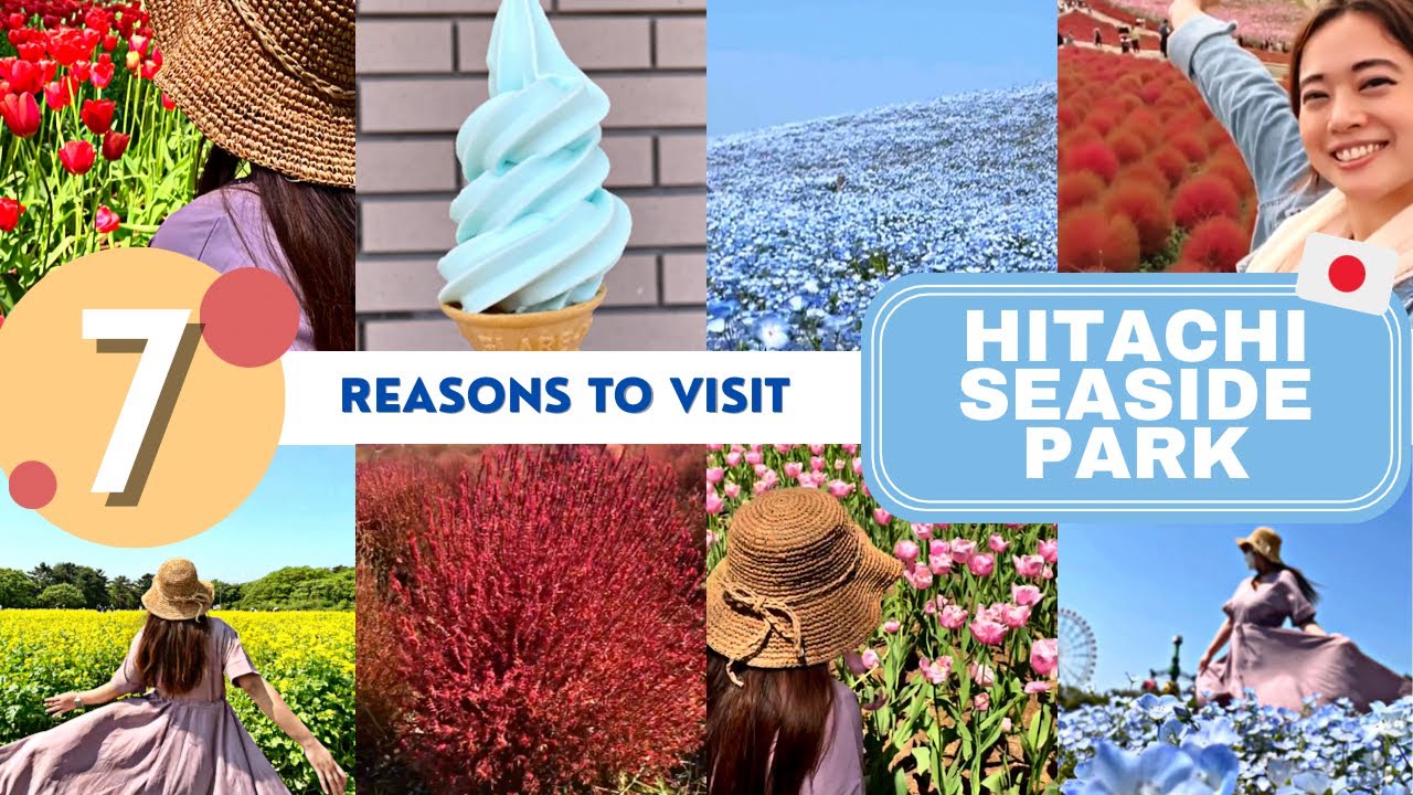 7 reasons to visit Hitachi Seaside Park 🌷 Japan Travel Guide
