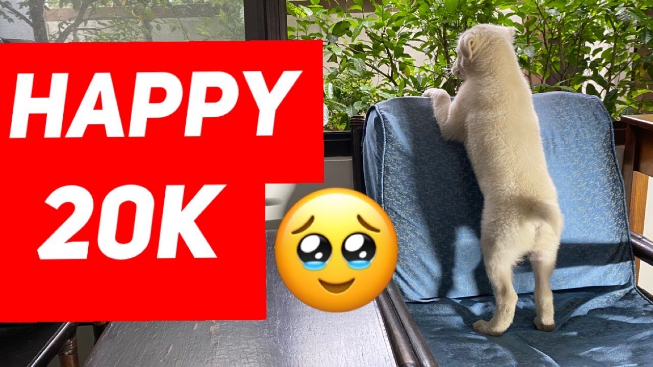 TOM FORD F*CKING FABULOUS Review | Giveaway CLOSED | Kuya Ditto | Kilatis | Happy 20K Subscribers! |