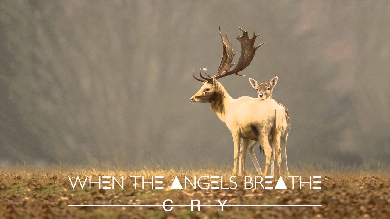When The Angels Breathe [ WTAB ] - Cry