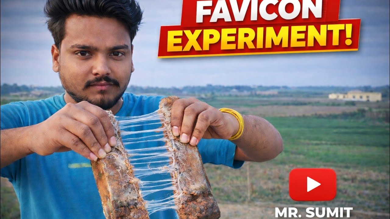 आज हमने किया एक मज़ेदार और shocking Fevicol experiment 😱क्या सच में Fevicol इतना strong होता है? 