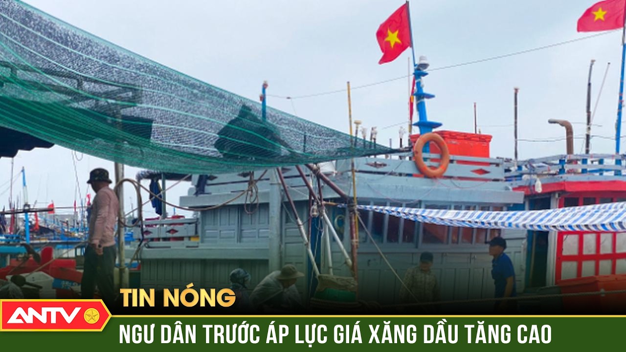Giá dầu “nhảy múa”, nhiều ngư dân Quảng Ngãi lao đao | ANTV
