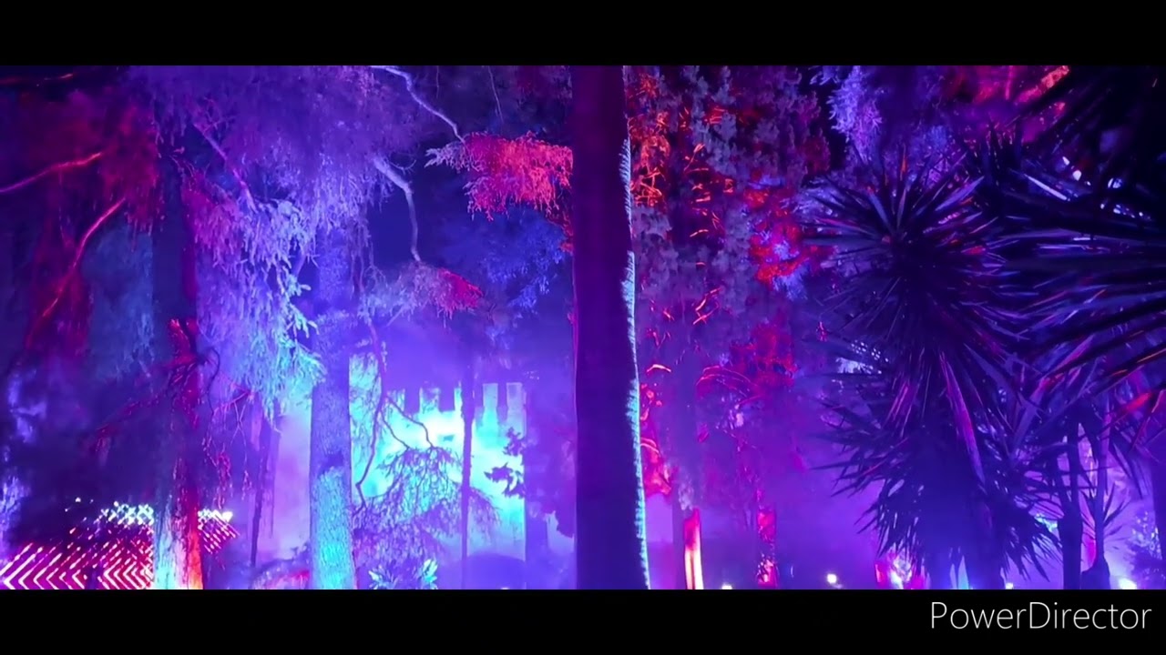 Luces y Naturaleza