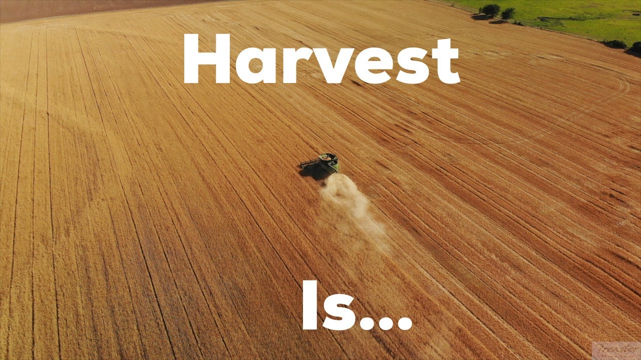 Kansas Wheat Harvest
