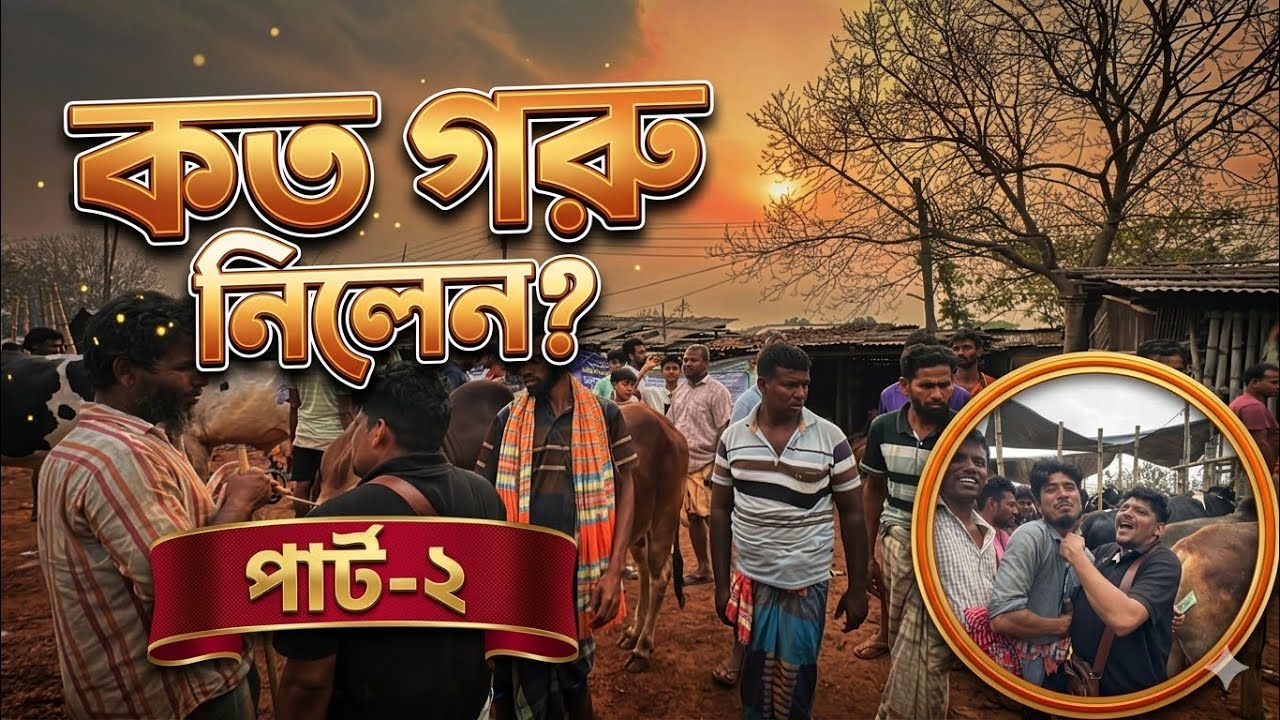 বিরতিহীনভাবে গরু কিনছেন আকরাম ভাই! দরদাম যুদ্ধ থামছেই না | Rajshahi City Haat পার্ট-২ 