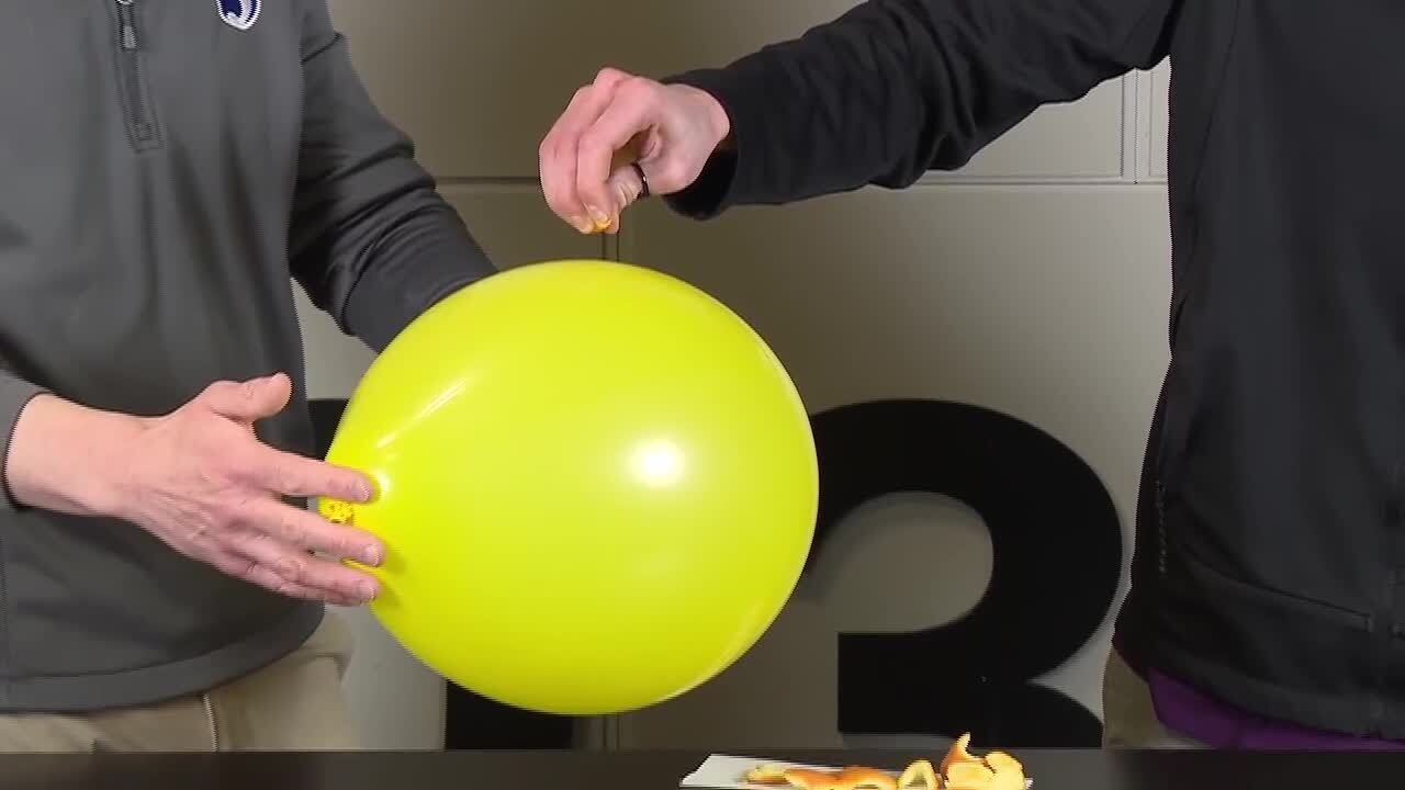 SCIENCE SUNDAY: Popping a balloon with an orange peel