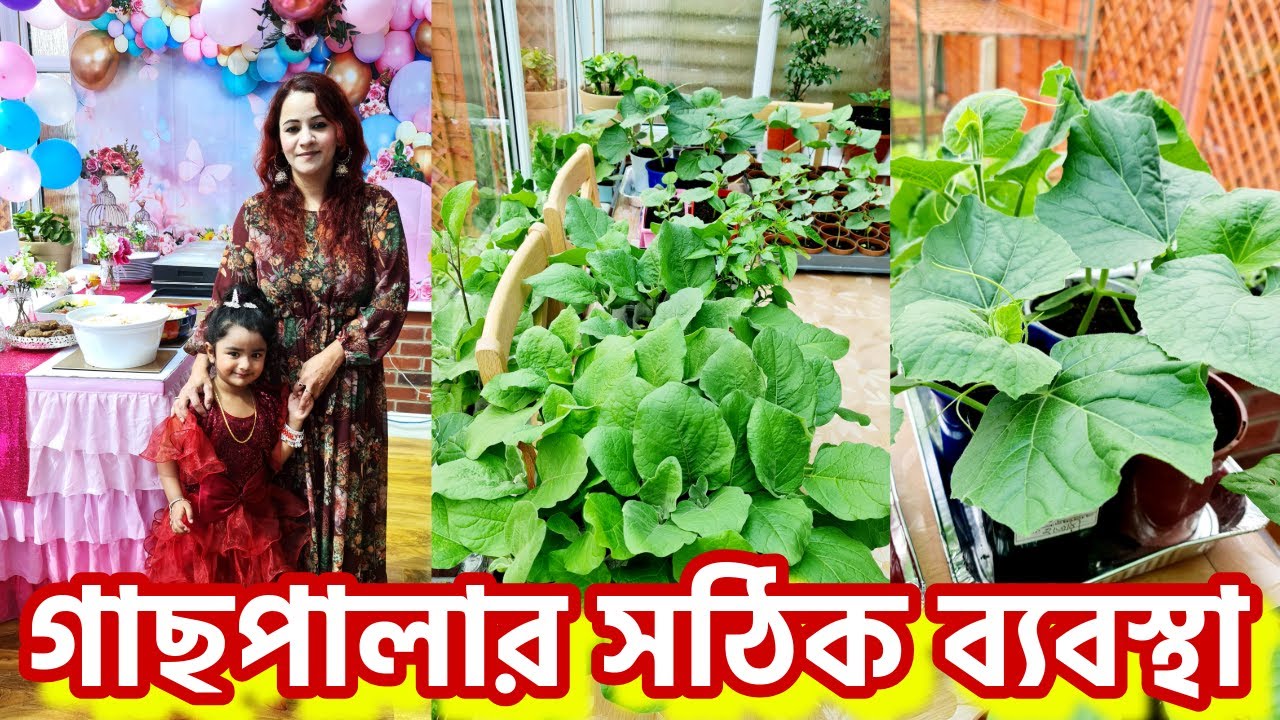 গাছপালার সঠিক ব্যবস্থা করেই আমার বুড়ির জন্মদিন করতে হল AMENA'S 3RD BIRTHDAY CELEBRATION