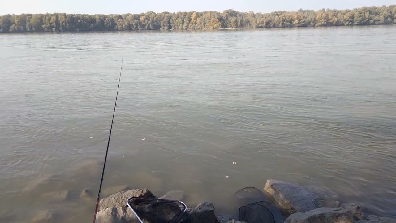 Vadvizi Horgászat Nagy Duna.Torkolat.