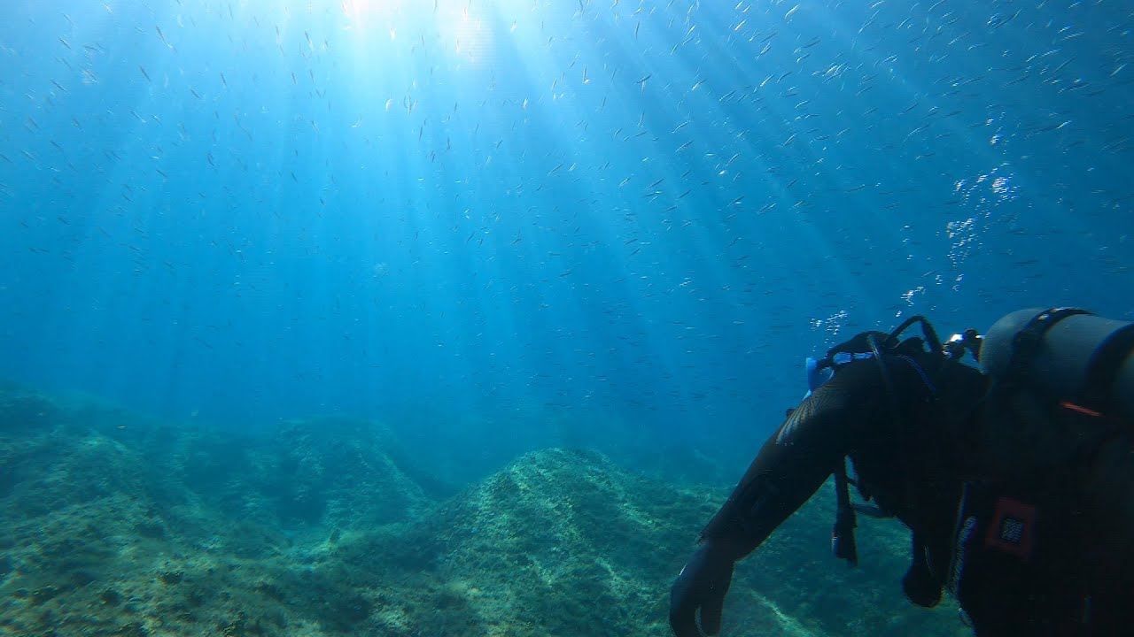 Tauchen in Kroatien:  Insel Krk (Malinska), September 2022