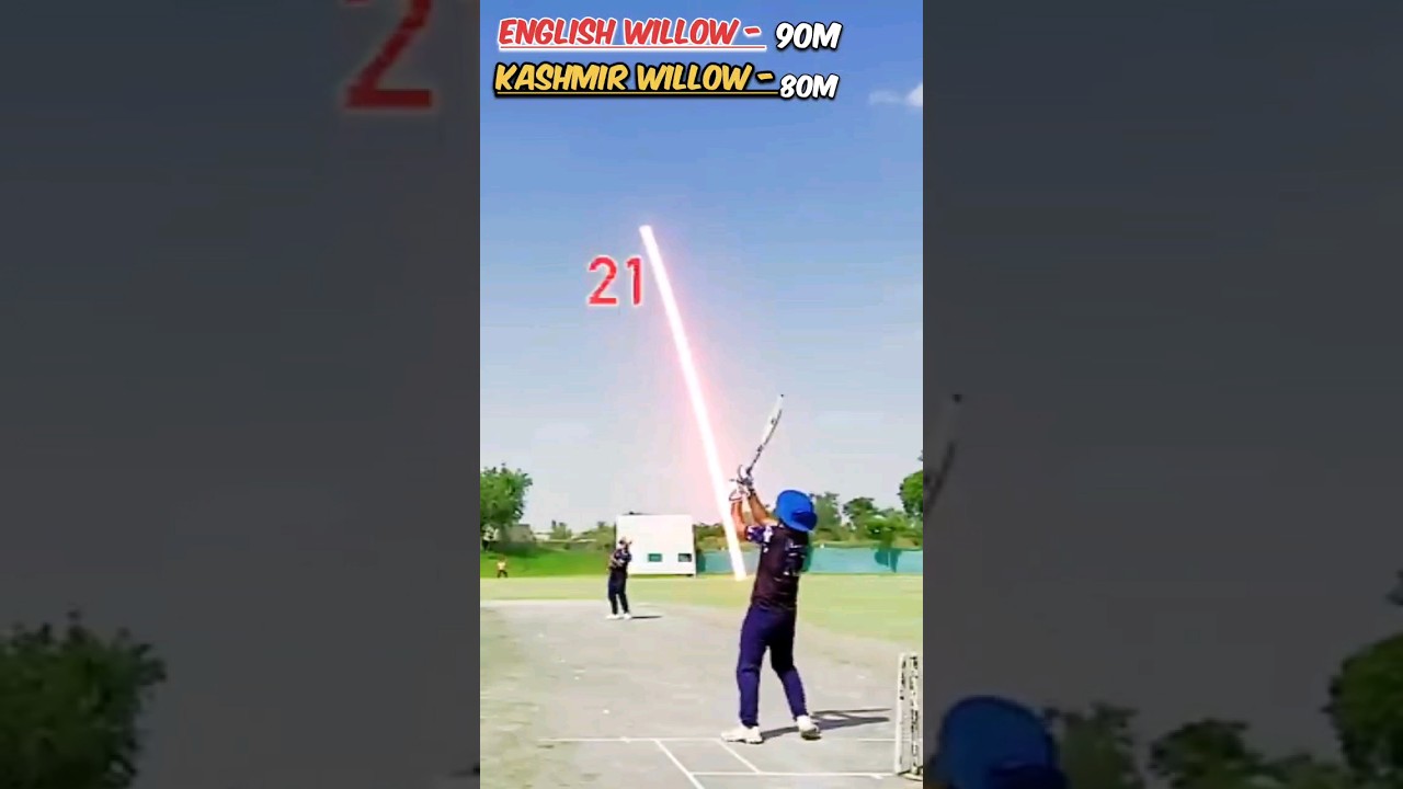 longest Six hitting|Kashmir willow vs English willow Bat| Kon jeetega #ytshorts #shorts #cricket