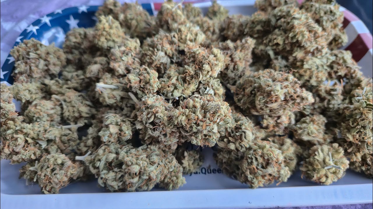 RQS Wedding Cake Auto Timelapse - Harvesting