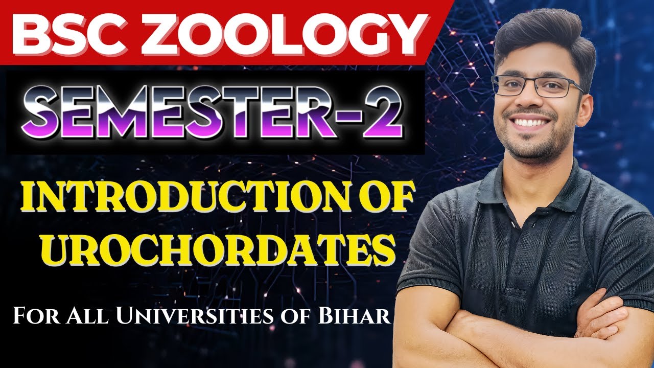Introduction of Urochordates | Diversity of Chordates | BSc Zoology Semester-2 | Vidya Sir