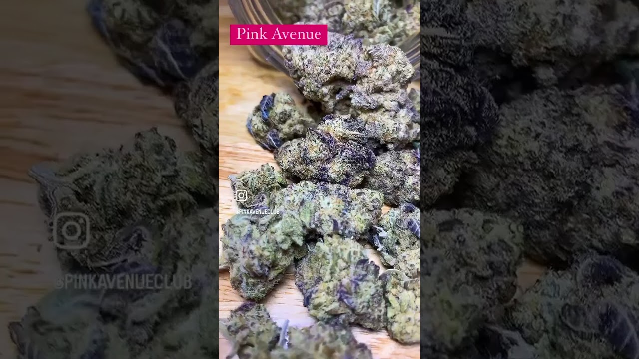The Best Weed In Thailand. Pink Avenue Coffeeshop Pattaya