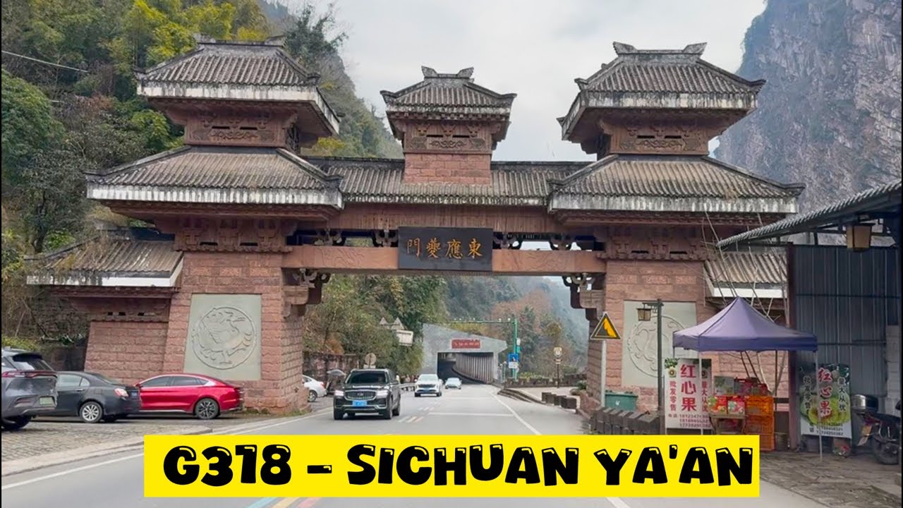 🔴 G318 - Sichuan YA'AN 🛣️ Daerah Panda Liar & Perkebunan Teh Tibet 🐼🍵