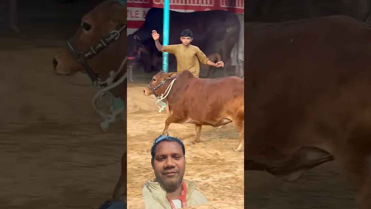 video bahut acchi hai dekhiae ant Tak