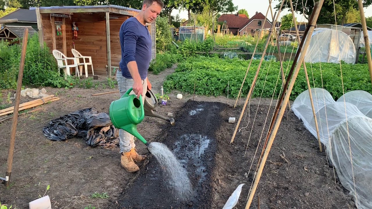 EFFM Weekvlog 016 - sperziebonen leggen - wortels zaaien - moestuin oogst zaterdag verkoop preview