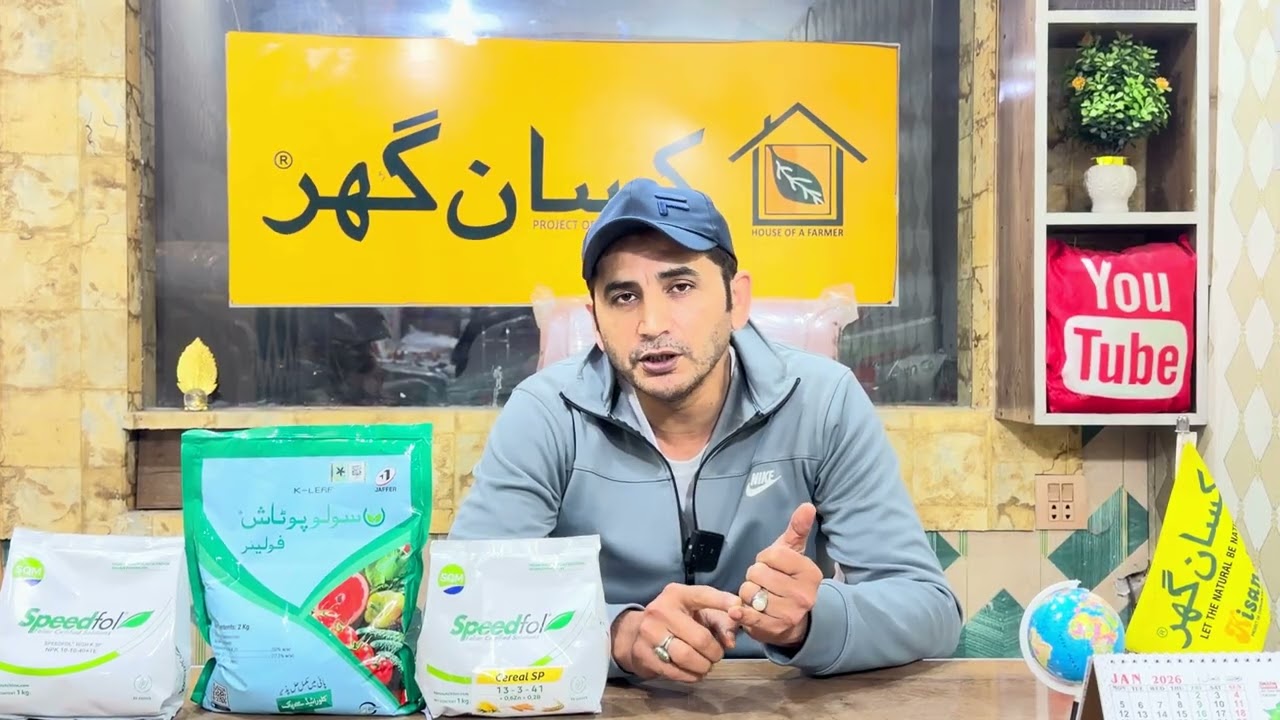 Asal potash for foliar spray for all crops | spray wali potash | Kissan | sprleedfol | solupotash 
