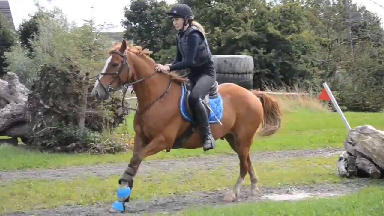 Carlanstown xc raws