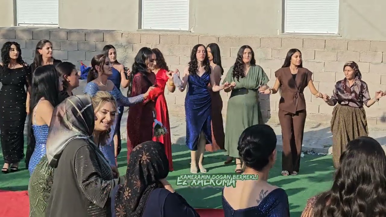 Xalko Gölyazi dolo mole xaydari  ṣüte 2025