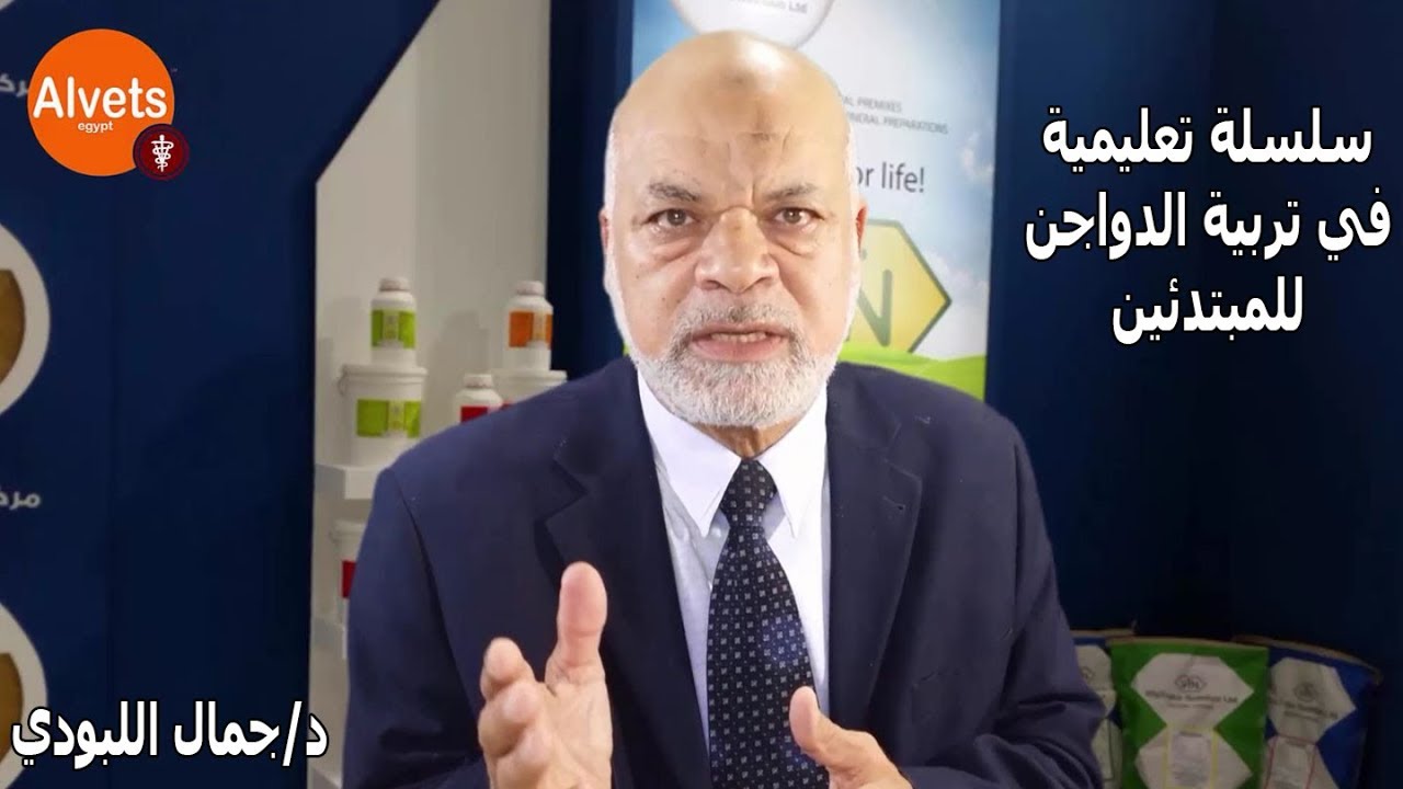 تربية الدواجن - الحلقة الثانية - كيف يتم تجهيز العنبر لأستقبال الكتاكيت - د/جمال اللبودي