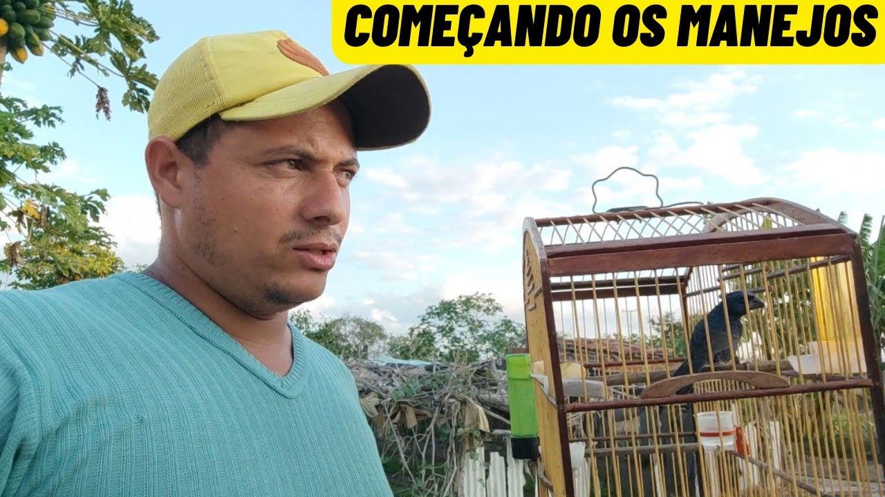 AZULÃO terminou a muda agora é hora de começar a esquentar
