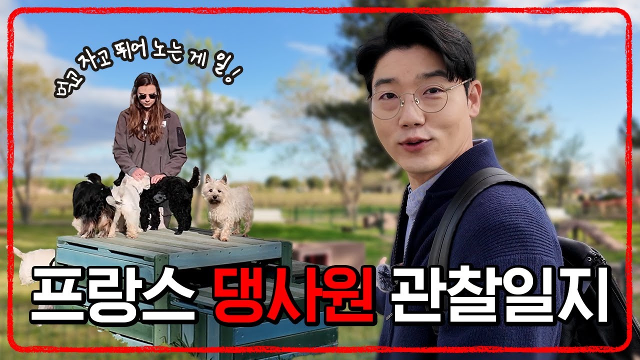 프랑스 댕사원들 복지 실태! 제가 직접 확인하고 왔습니다 🕵️‍♂️  | 설채현 행동학 수의사