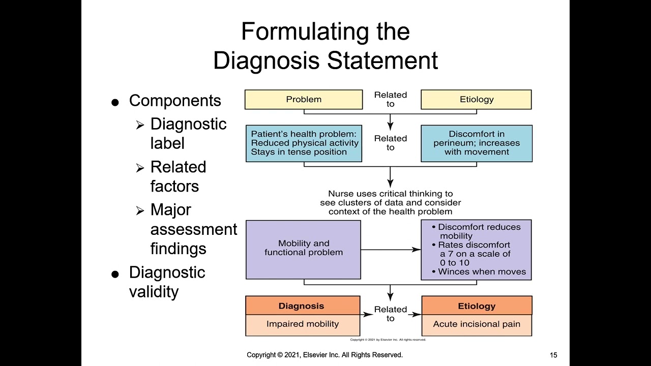 NUR100 Chapter 17 Nursing Diagnosis