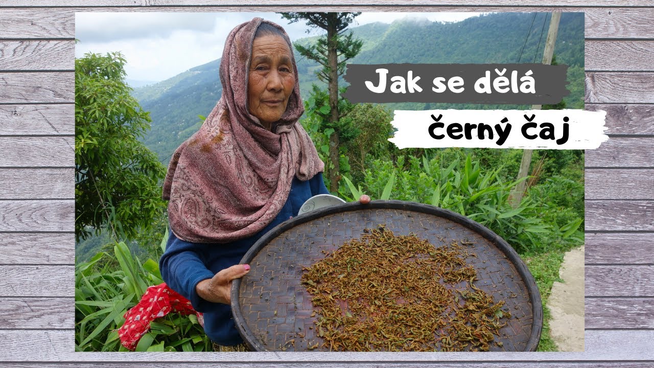 Jak se dělá černý čaj ručně - Čajové Bedýnky
