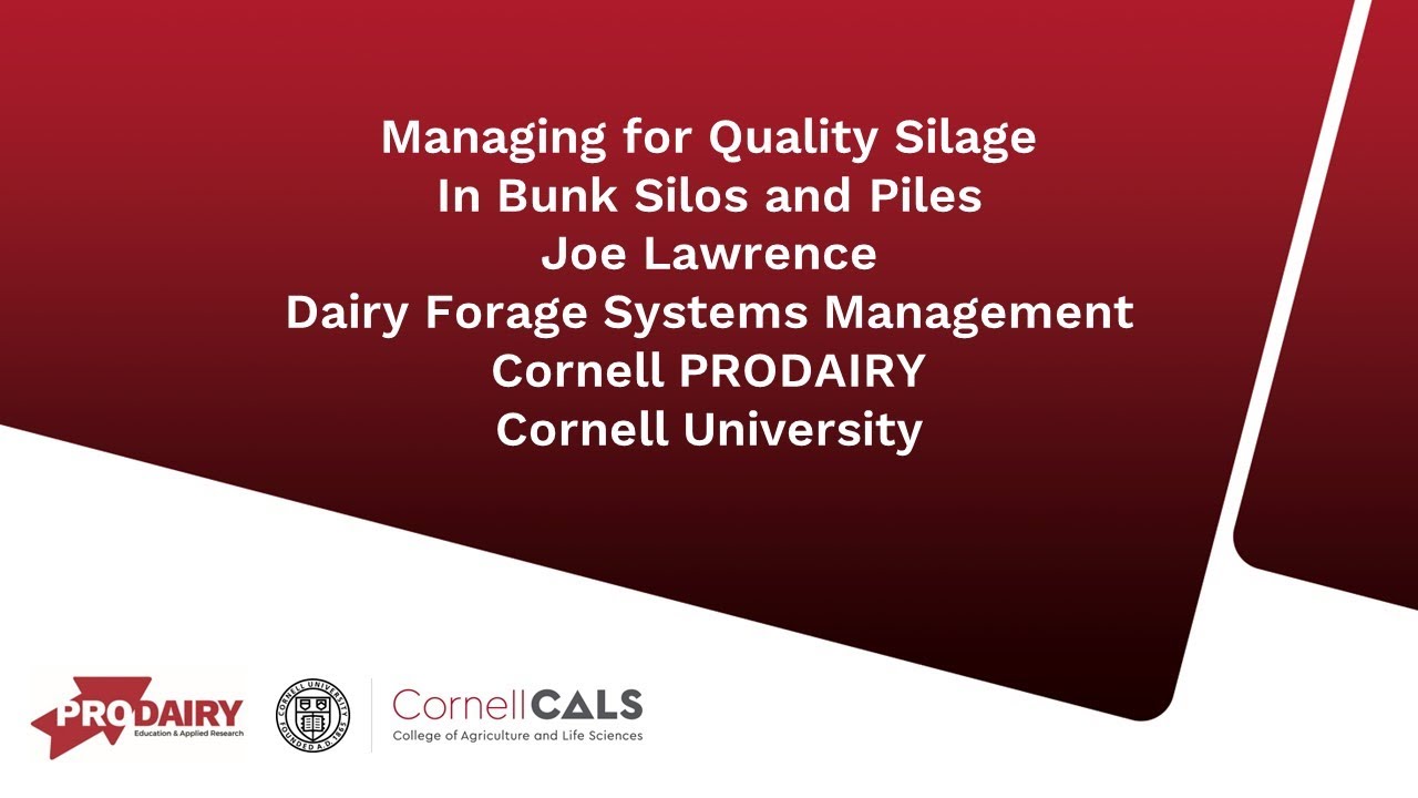Managing for Quality Silage: Bunk Silos and Piles. Joe Lawrence, Forage Specialist, Cornell PRODAIRY