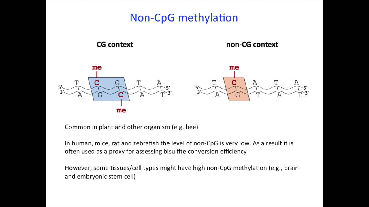 Tips and Considerations for Genome-wide DNA methylation and RRBS: Dr Aniruddha Chatterjee