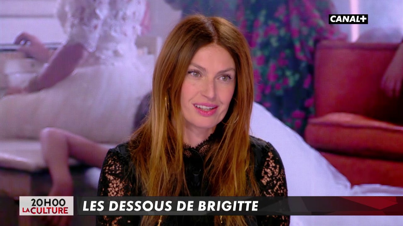 Les dessous de Brigitte - L'Info du Vrai du 30/11 – CANAL+