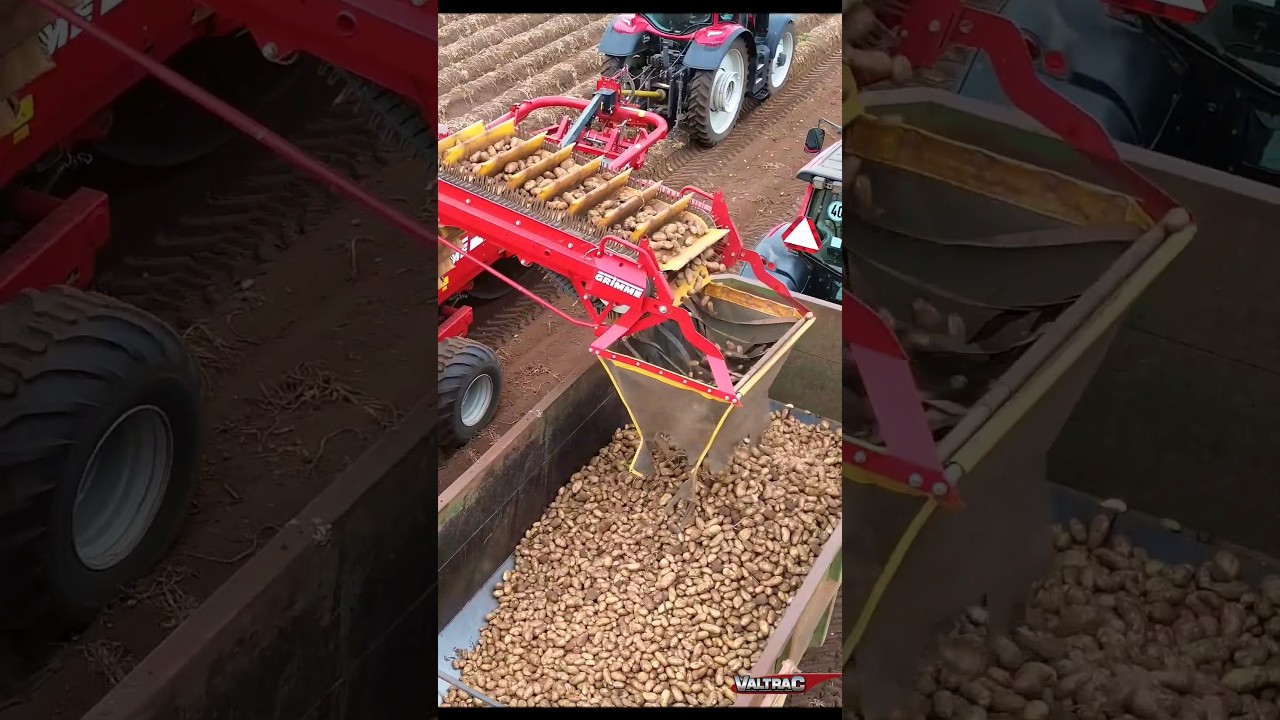 Potato farming in South Africa with Valtrac #potatofarming #farming  #valtra #southafricanfarmers