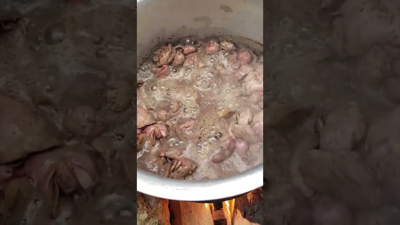 How to cook liver in the village/////African village cooking