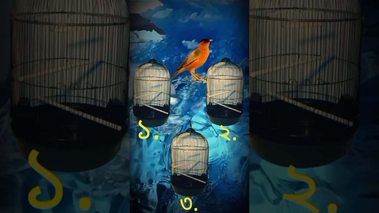 সবচেয়ে বুদ্ধিমান ছেলেকে দেখা যাবে এবার 😱 part 1 #shortlive#live