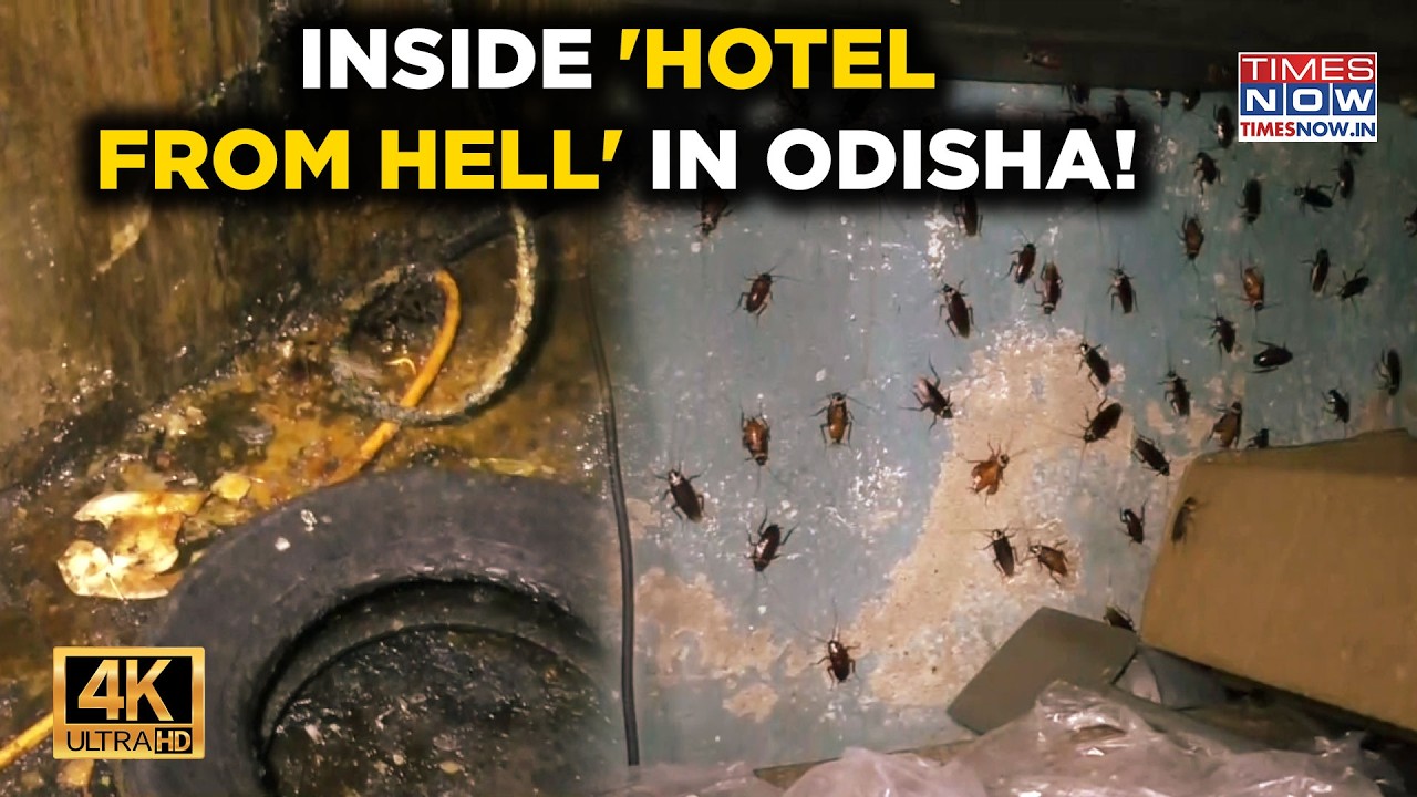 Odisha's &lsquo;Hotel From Hell&rsquo; On Cam: Cockroach Swarm, Grease & More- Food Dept Raid Reveals Horrors