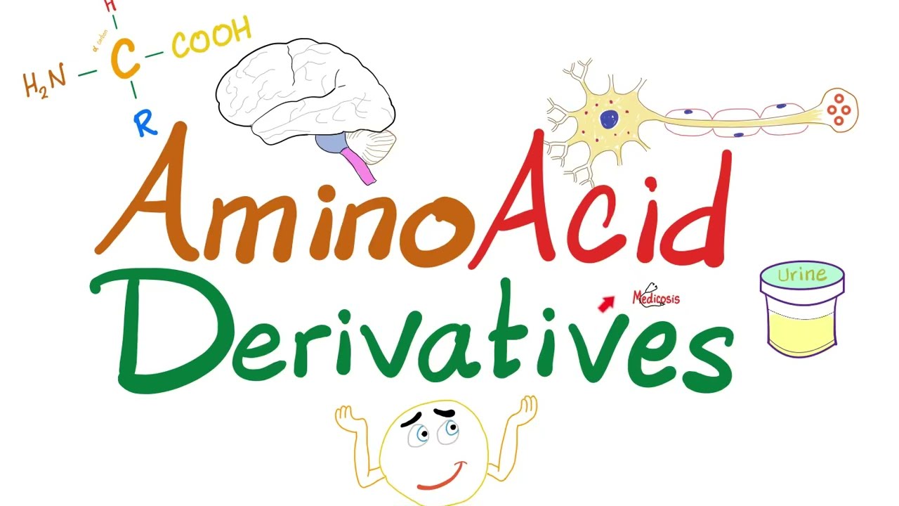 Amino Acid Derivatives - Histamine, GABA, Niacin, Serotonin, Melatonin, Dopamine, Nor-Epi, Epi