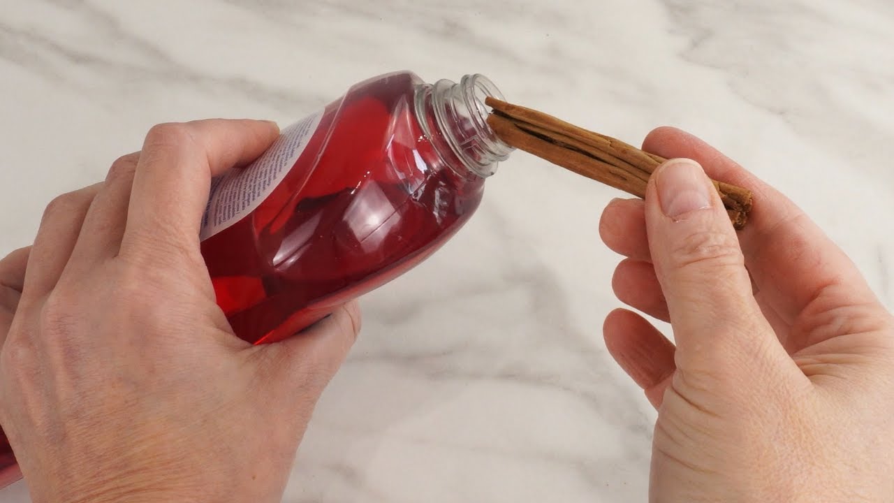 Połącz CYNAMON z Płynem do Naczyń! Naturalny Spray WYTĘPI WSZYSTKIE OWADY w Twoim Domu