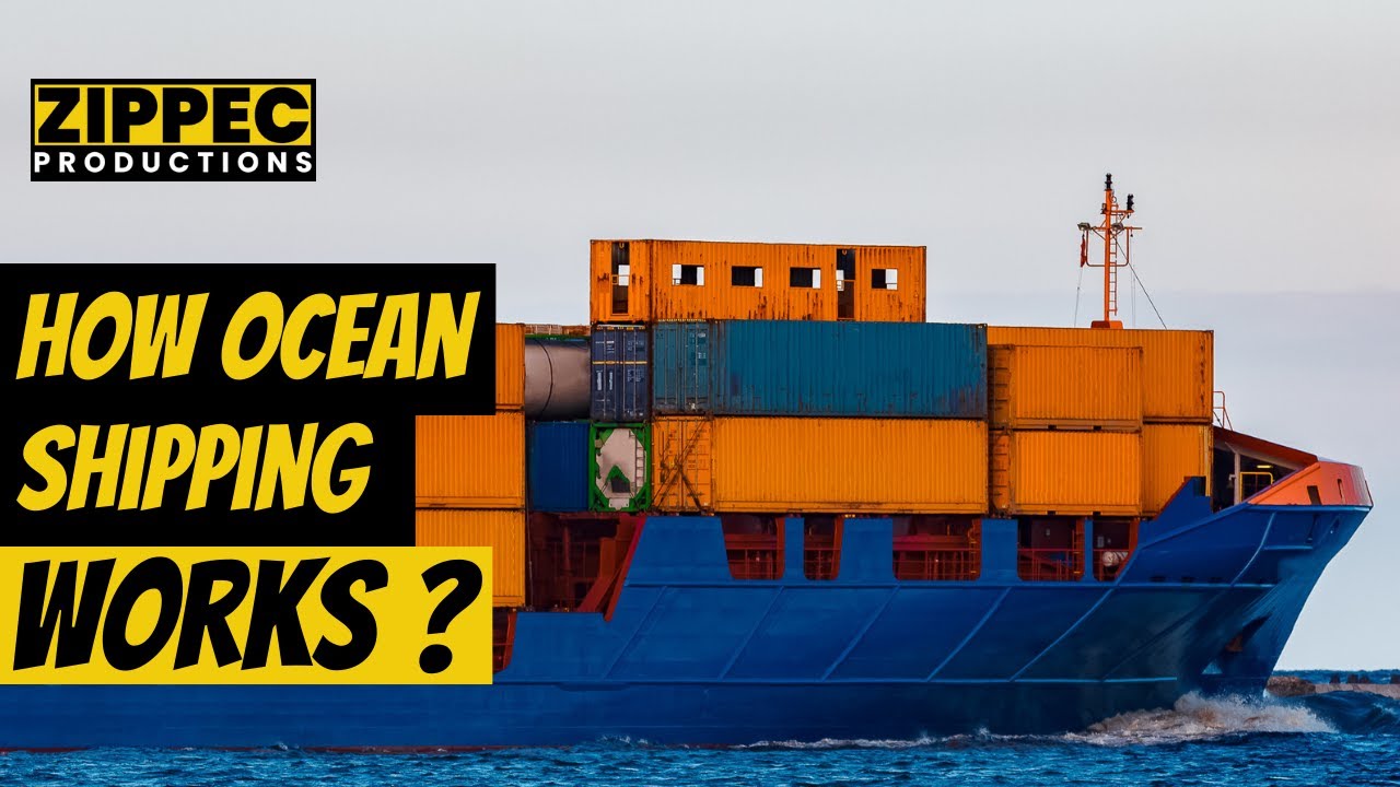 How Ocean Shipping Works | Zippec Productions