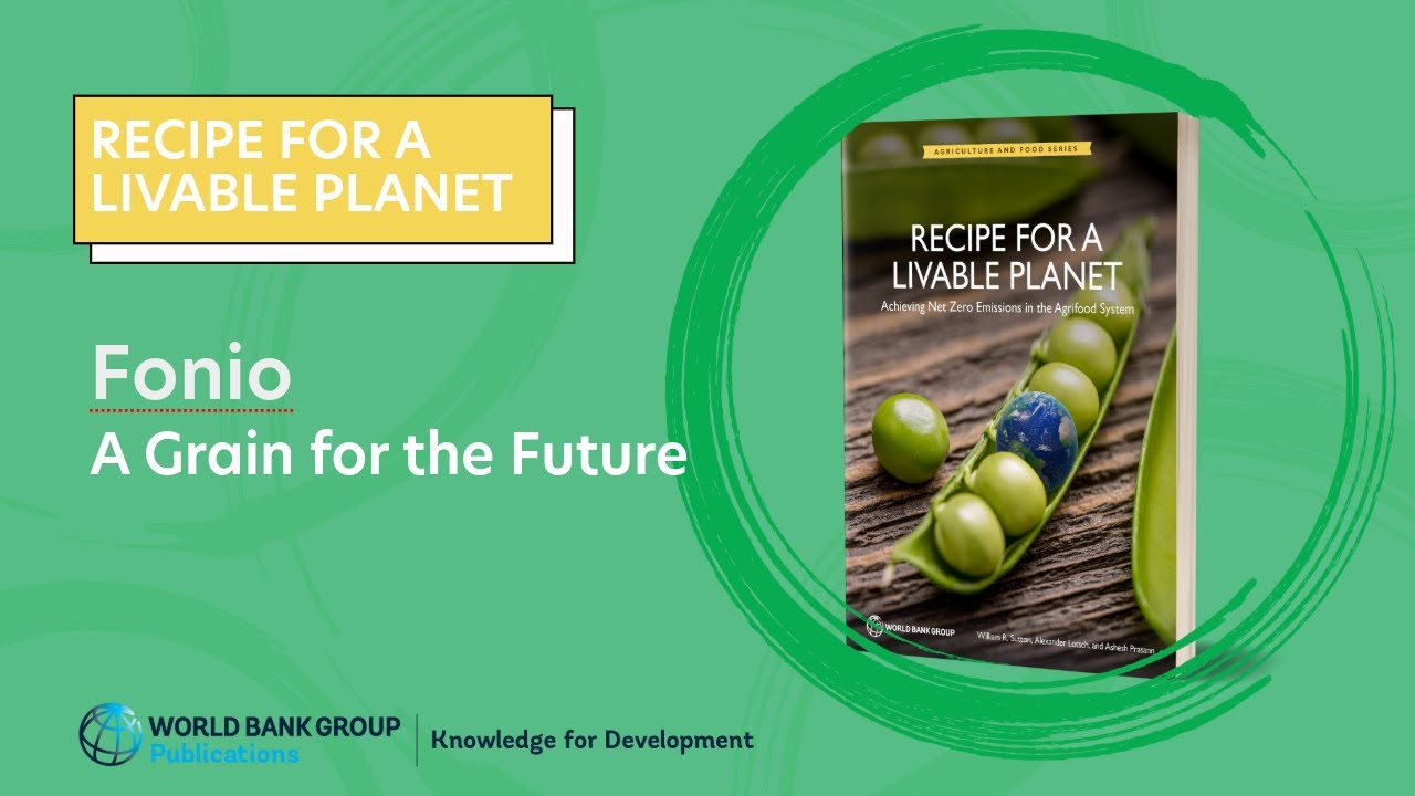 Recipe for a Livable Planet: Fonio, A Grain for the Future
