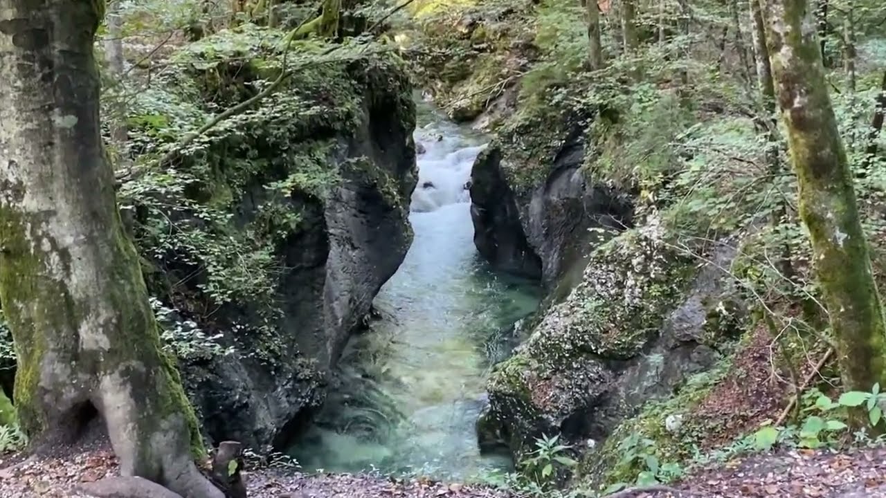 Slovenia, Bohinj, Mostnica Gorge, Словения, Бохинь, ущелье Мостница 18.09.2025
