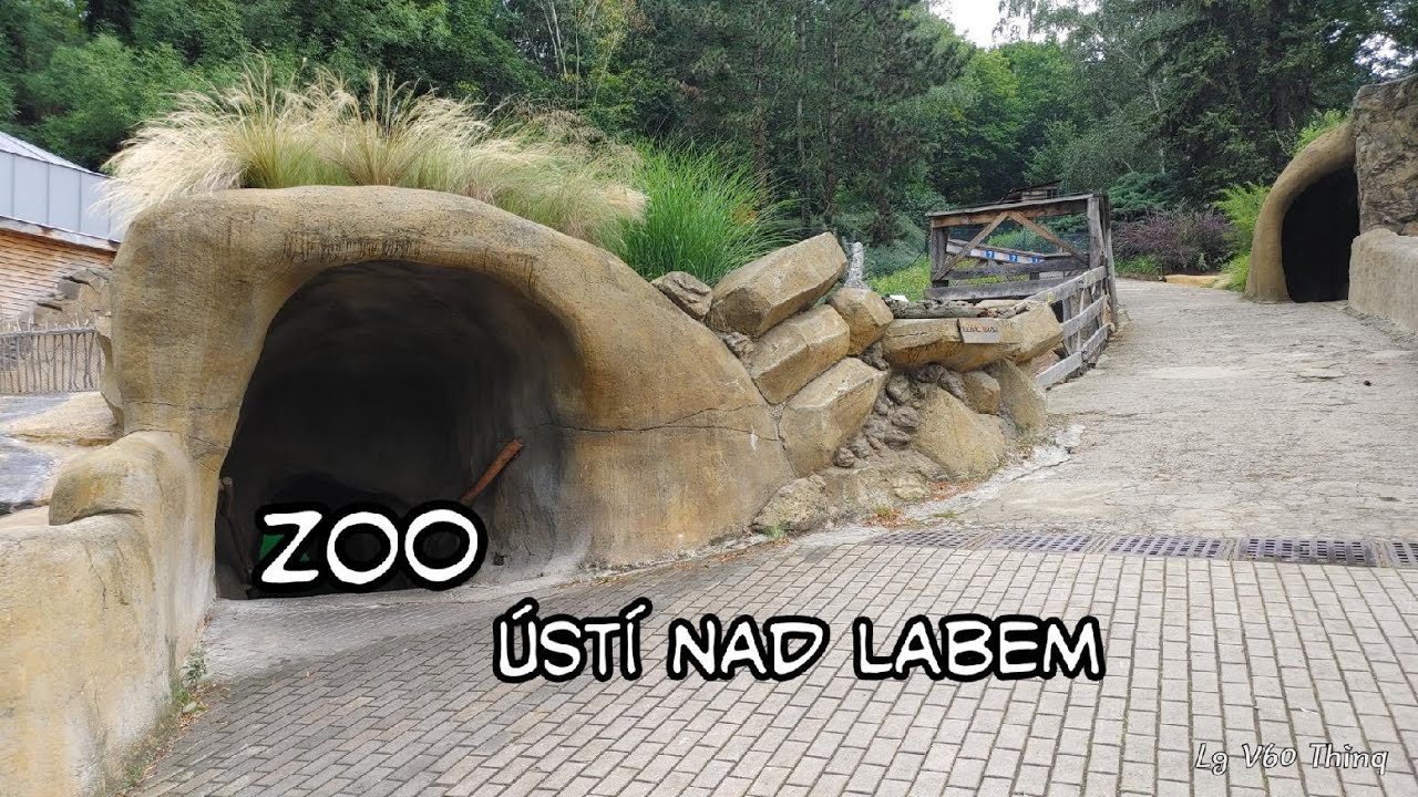 Zoologická zahrada Ústí Nad Labem, prohlídka 4K
