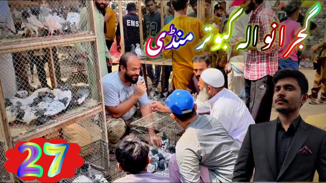 Top 27) Gujranwala kabootar mandi  Trends This Year || گجرانوالہ کبوتر منڈی ||