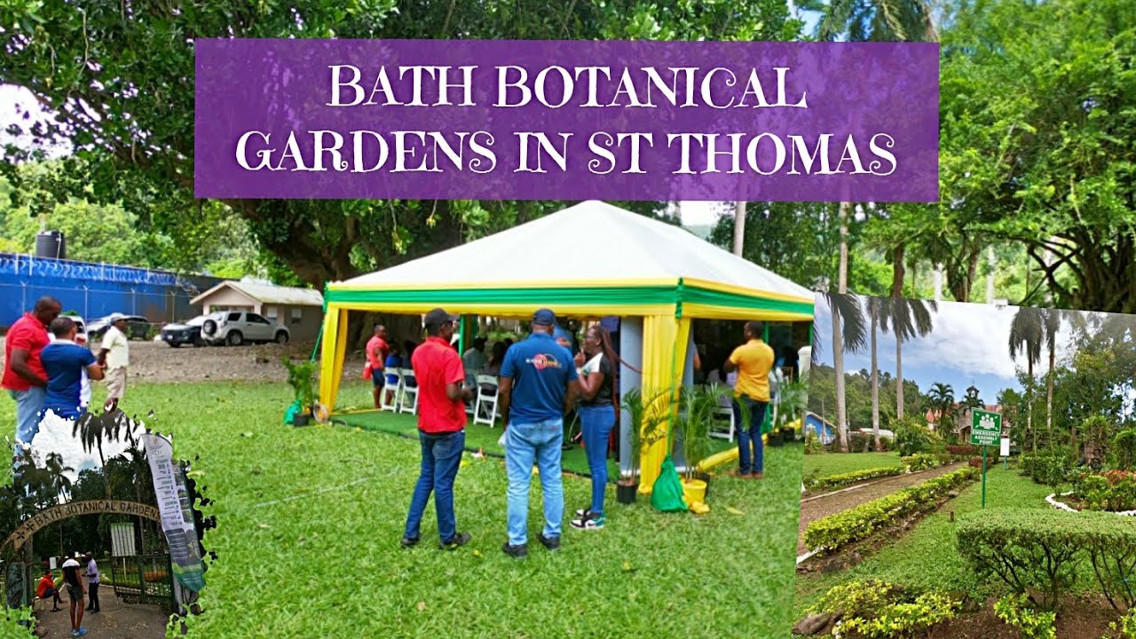 RESTORE BATH BOTANICAL GARDENS IN ST THOMAS (this is so good for the community)