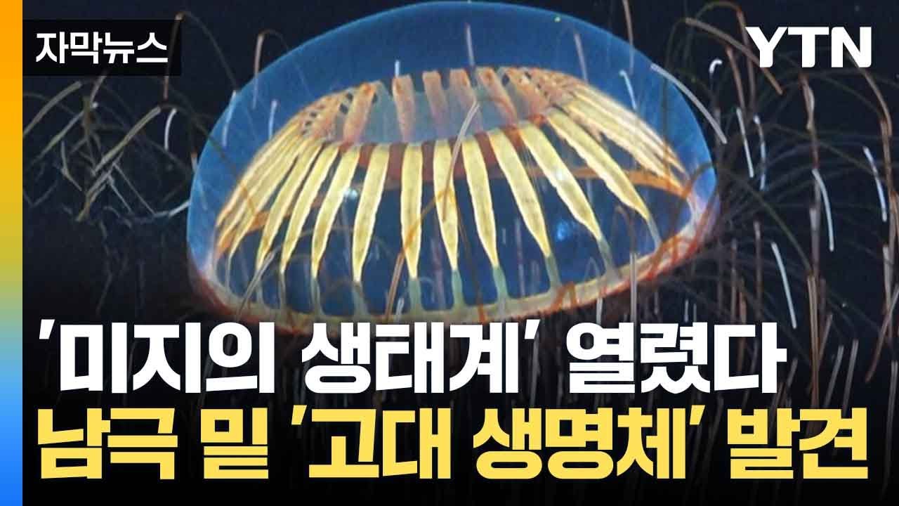 [자막뉴스] 1300m 아래 미지의 공간...'고대 생태계' 발견 / YTN