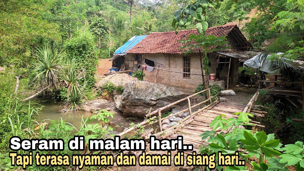 Sendirian,, tinggal di rumah nyentrik pinggir sungai di tengah hutan || kehidupan di pedesaan.